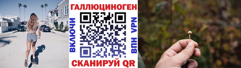 Галлюциногенные грибы GOLDEN TEACHER  купить закладку  дарк нет Telegram  Иркутск 