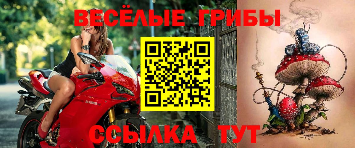 Галлюциногенные грибы MAGIC MUSHROOMS Иркутск