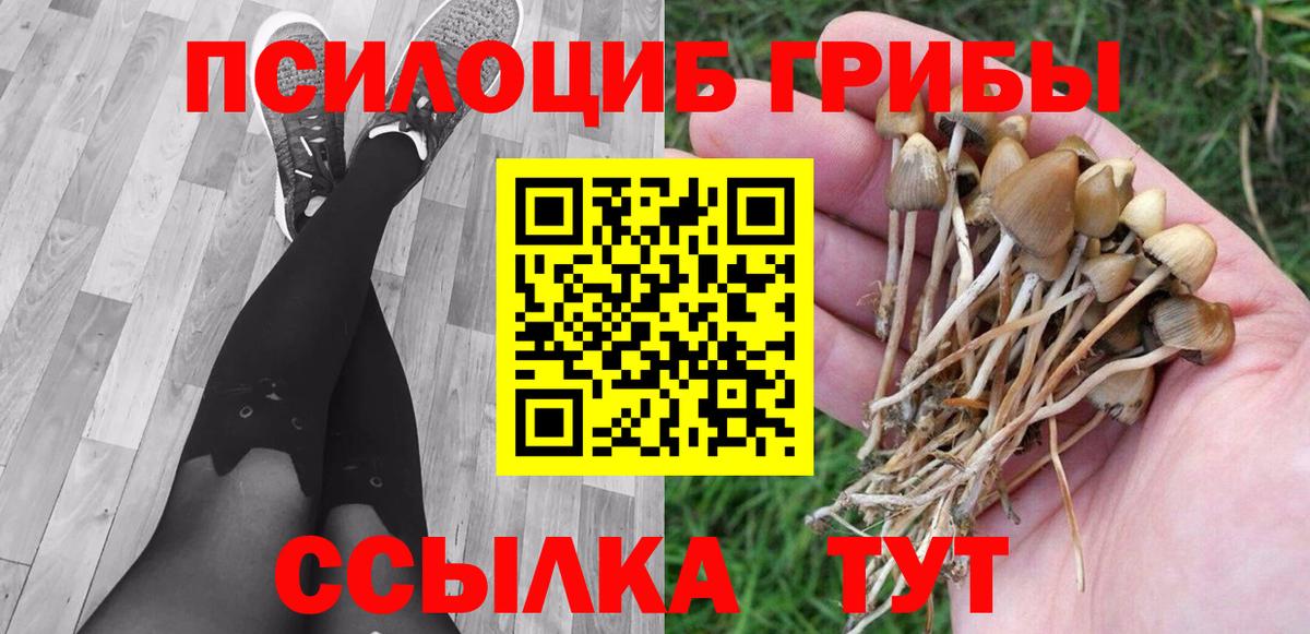 Псилоцибиновые грибы Psilocybe  Вход с VPN  Иркутск 